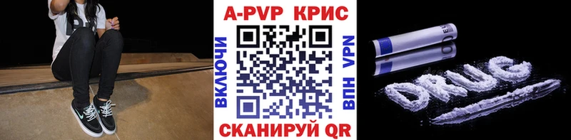 A PVP Кологрив