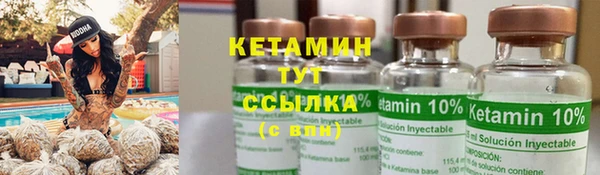 крисы Елабуга