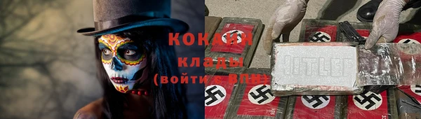 ALPHA PVP Ельня