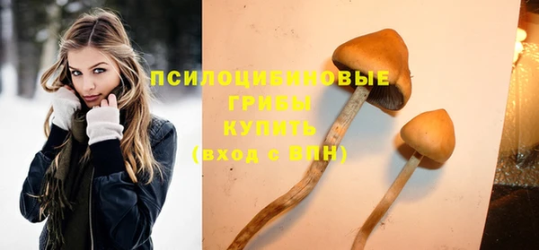ALPHA PVP Ельня