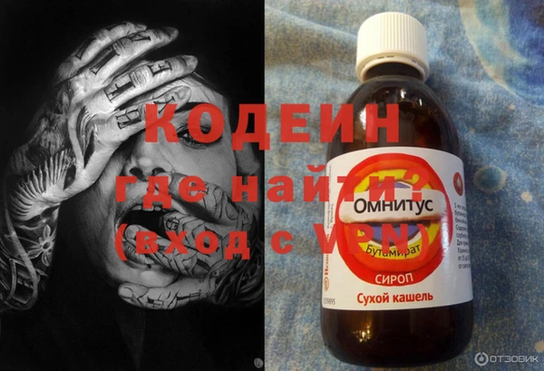 крисы Елабуга