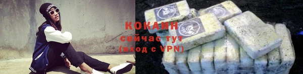крисы Елабуга