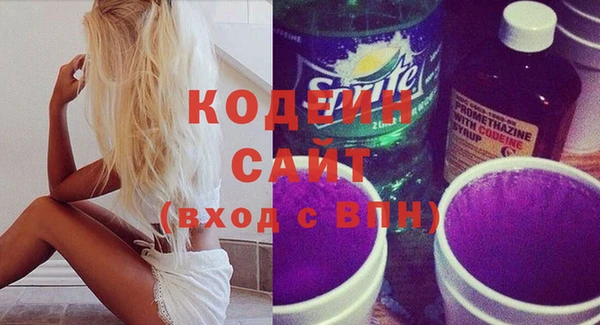 крисы Елабуга