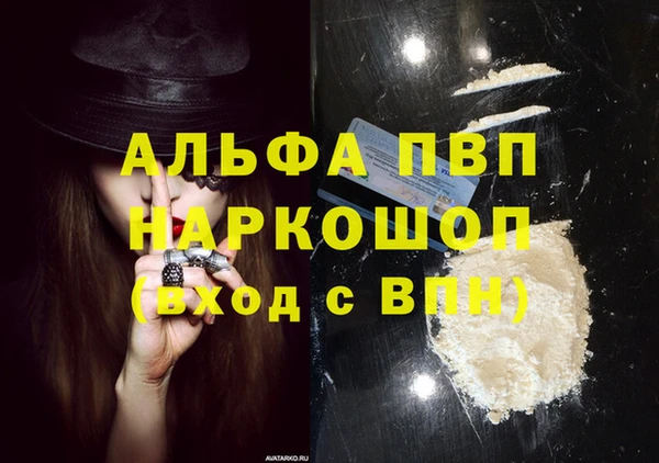 крисы Елабуга