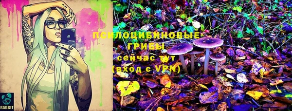 ALPHA PVP Ельня