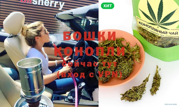крисы Елабуга