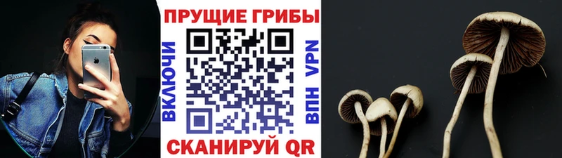 Галлюциногенные грибы мухоморы  Купить закладки  Кологрив 