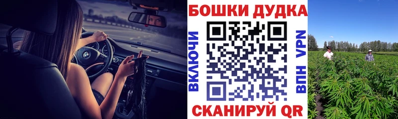 Каннабис планчик Кологрив